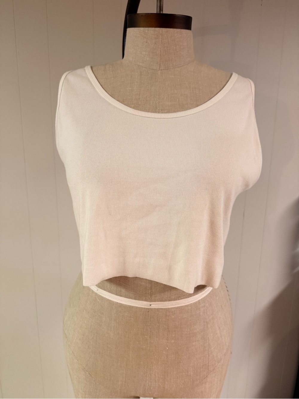 wild fable Cream Ribbed Cropped Tank